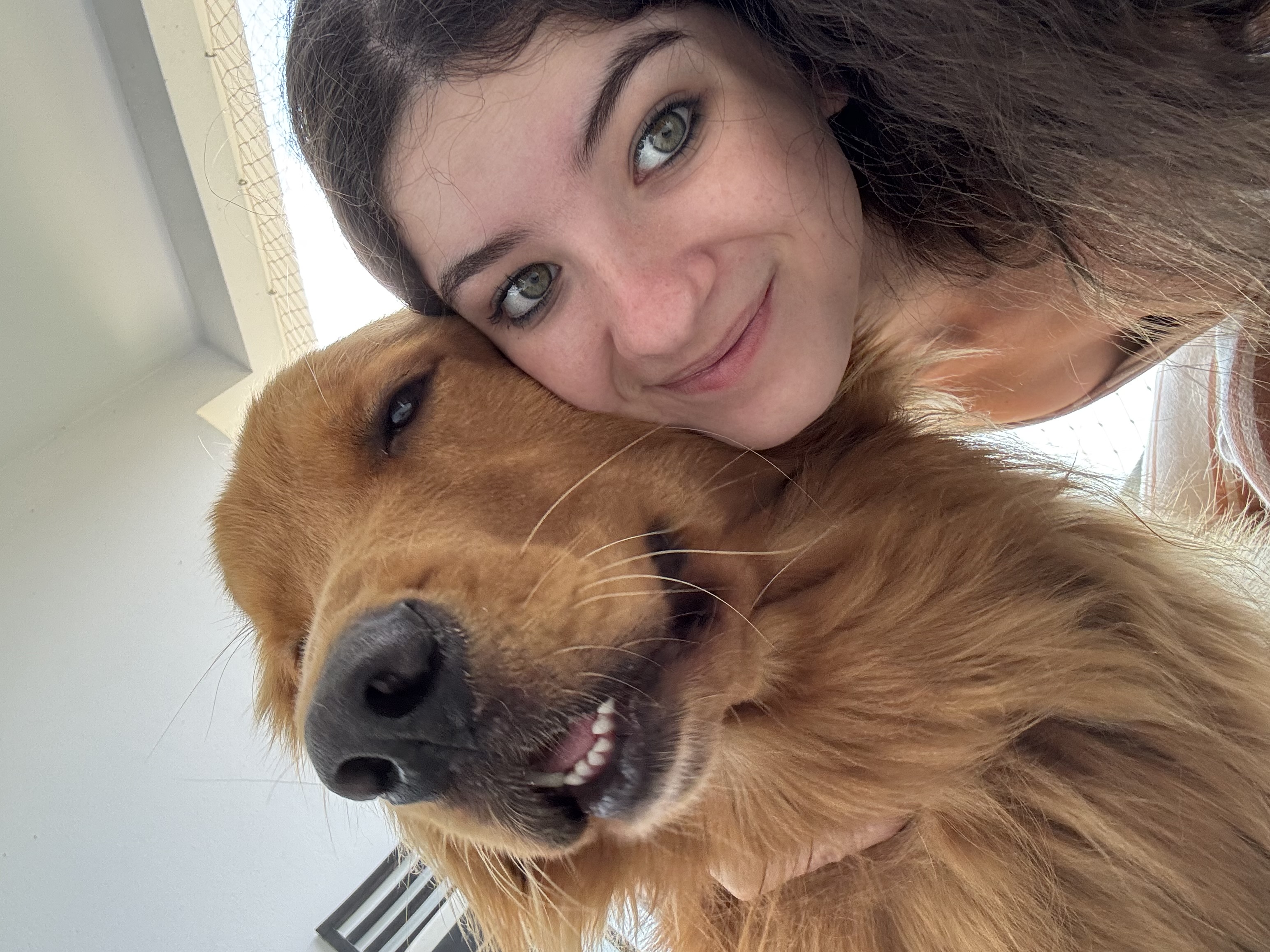 Trabalho de Evellyn Lombas — foto 4