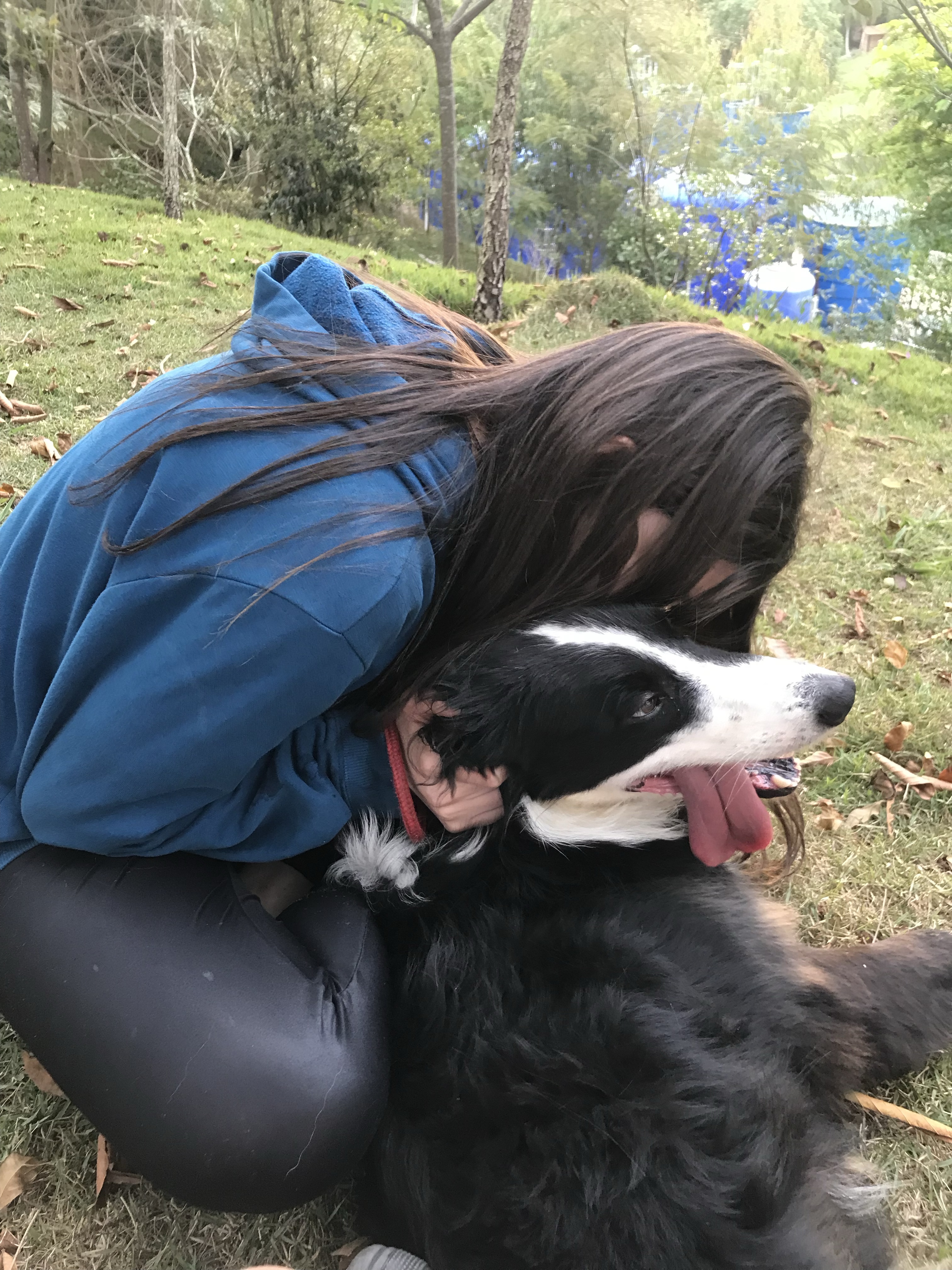 Trabalho de Evellyn Lombas — foto 10
