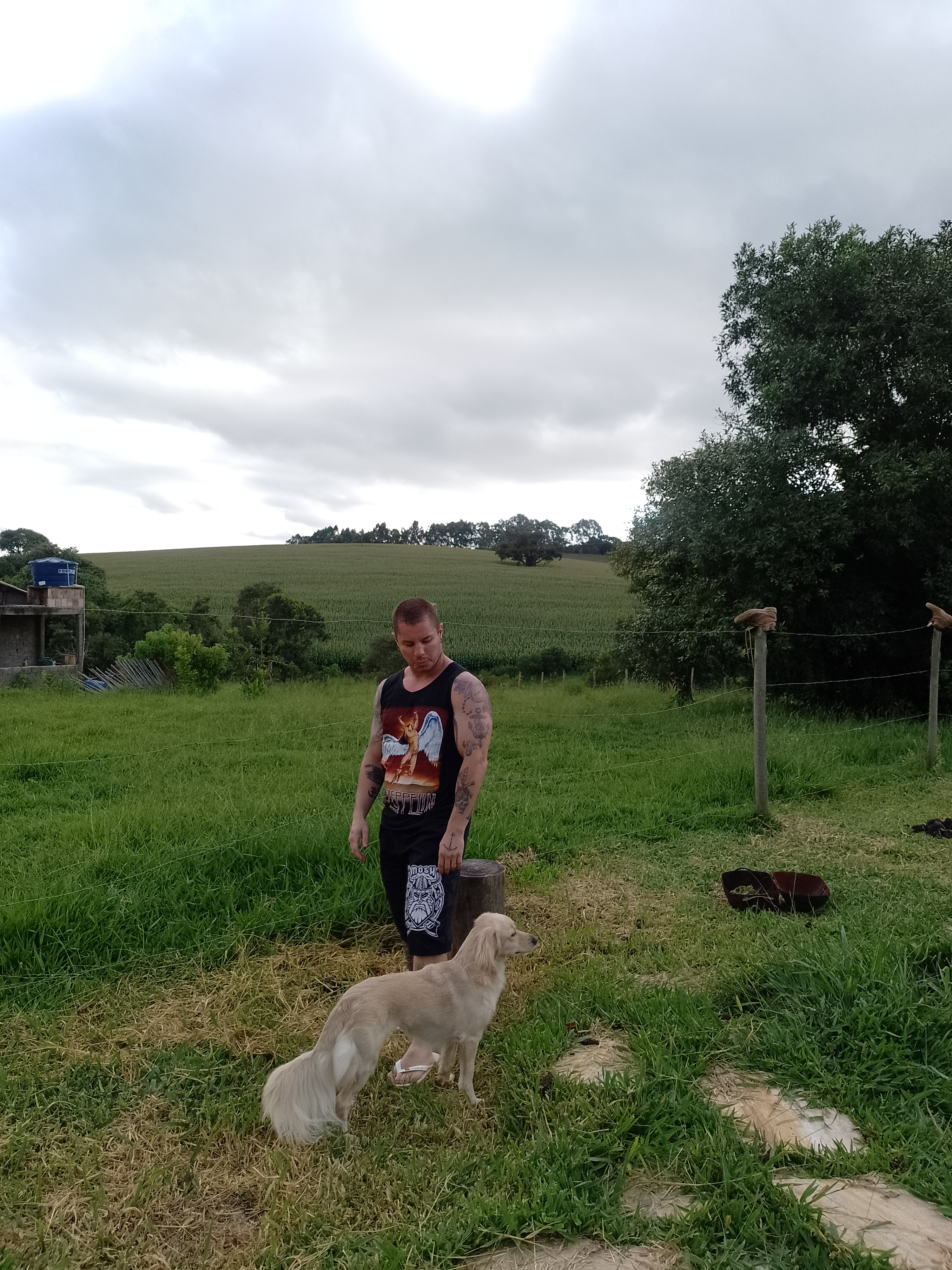 Capa Carlos Vicente Guimarães de Moraes