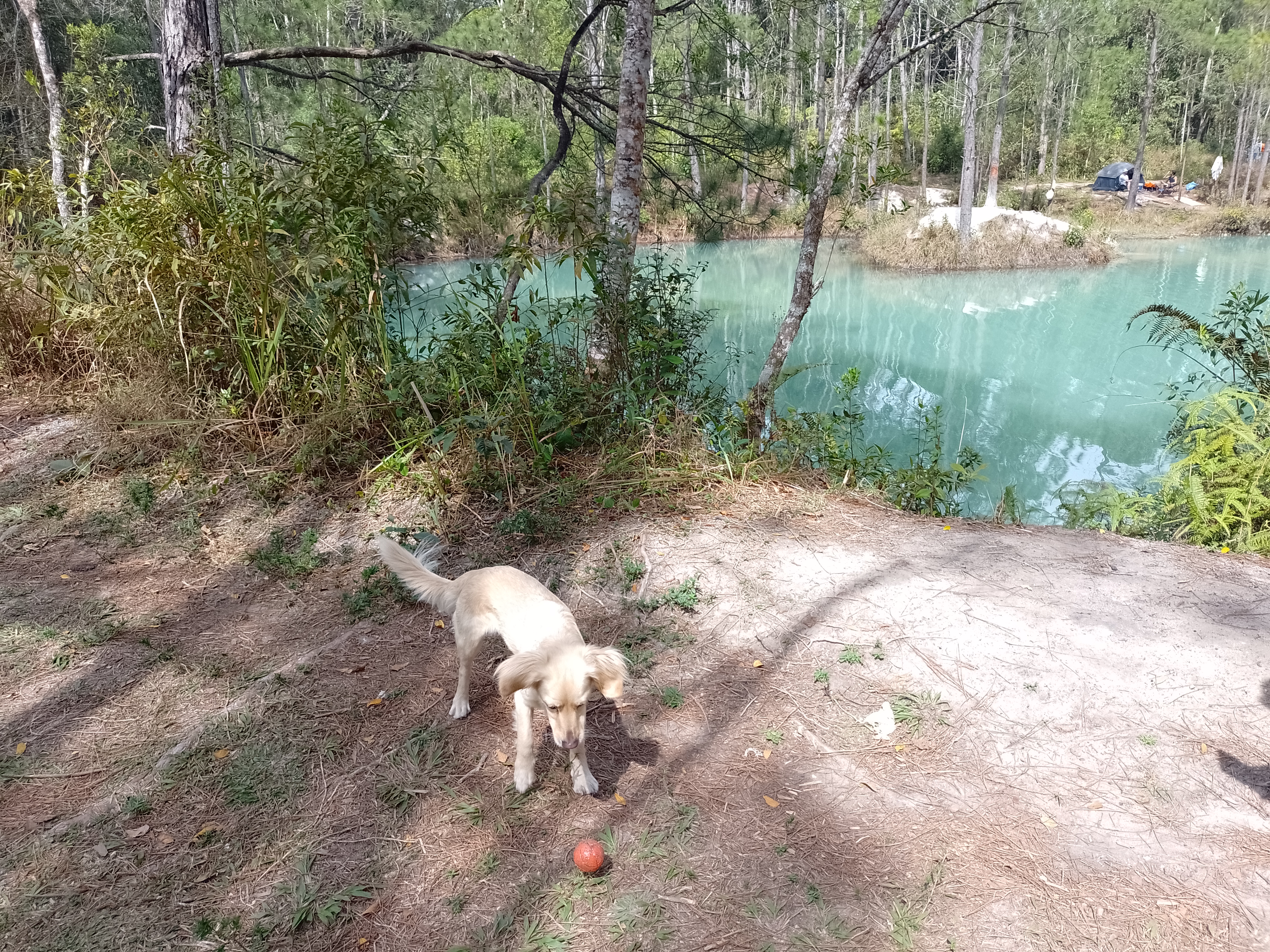 Galeria Carlos Vicente Guimarães de Moraes