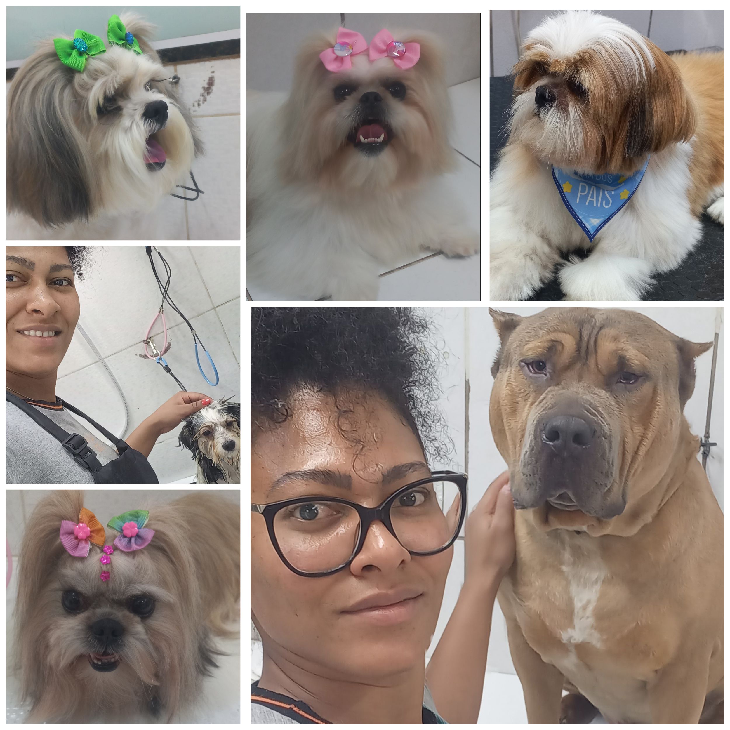Galeria Francine Silva Santos