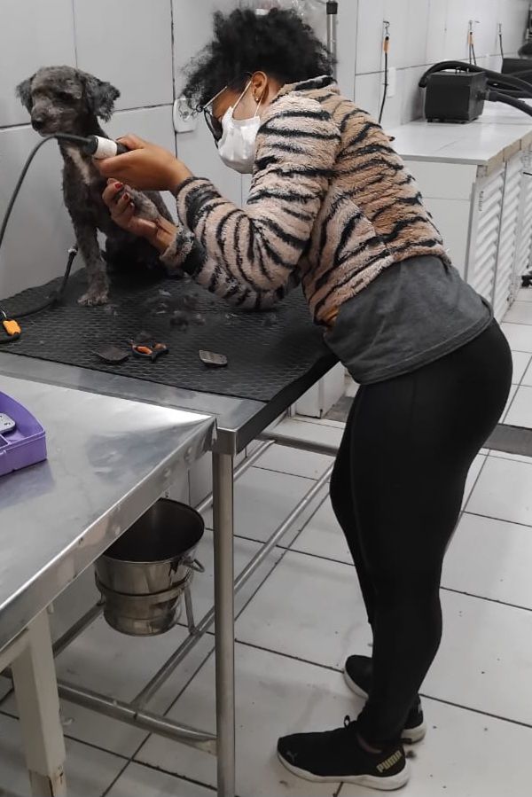 Galeria Francine Silva Santos