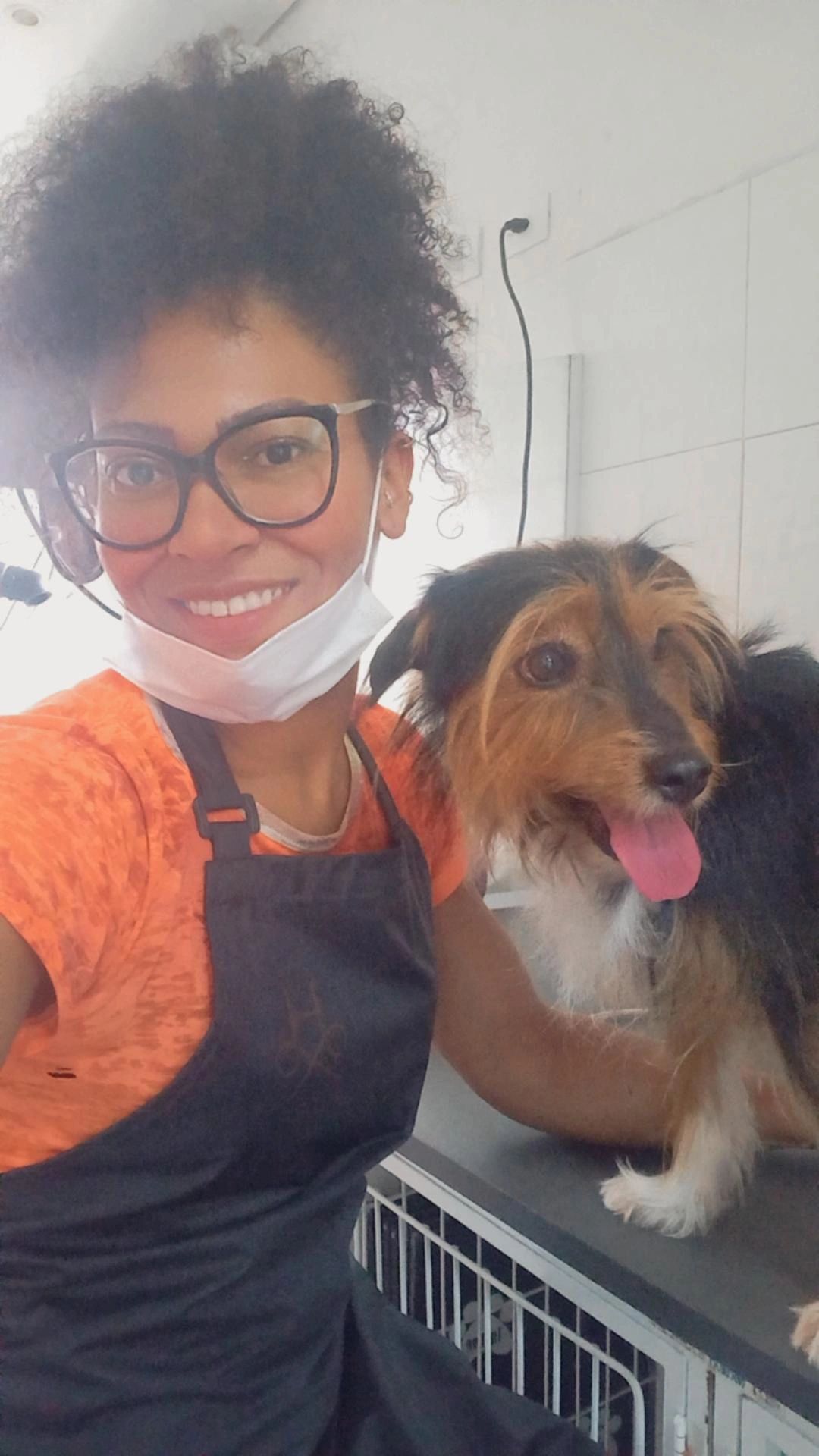Galeria Francine Silva Santos