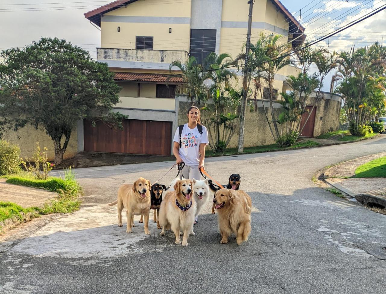 Trabalho de Beatriz Alves — foto 1