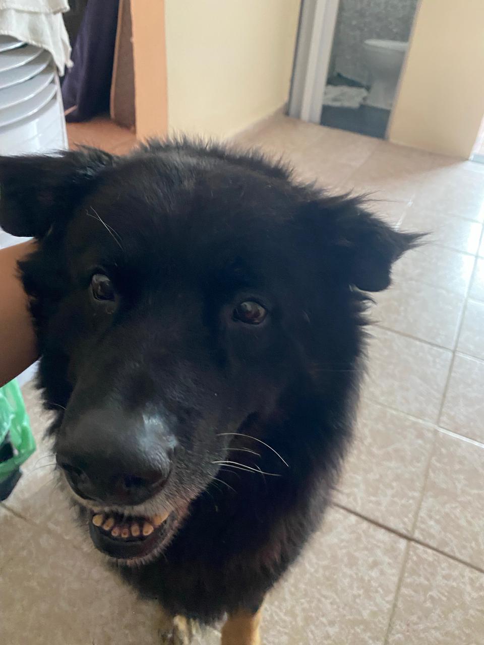 Capa Gabriela Silva Pinheiro de Godoy