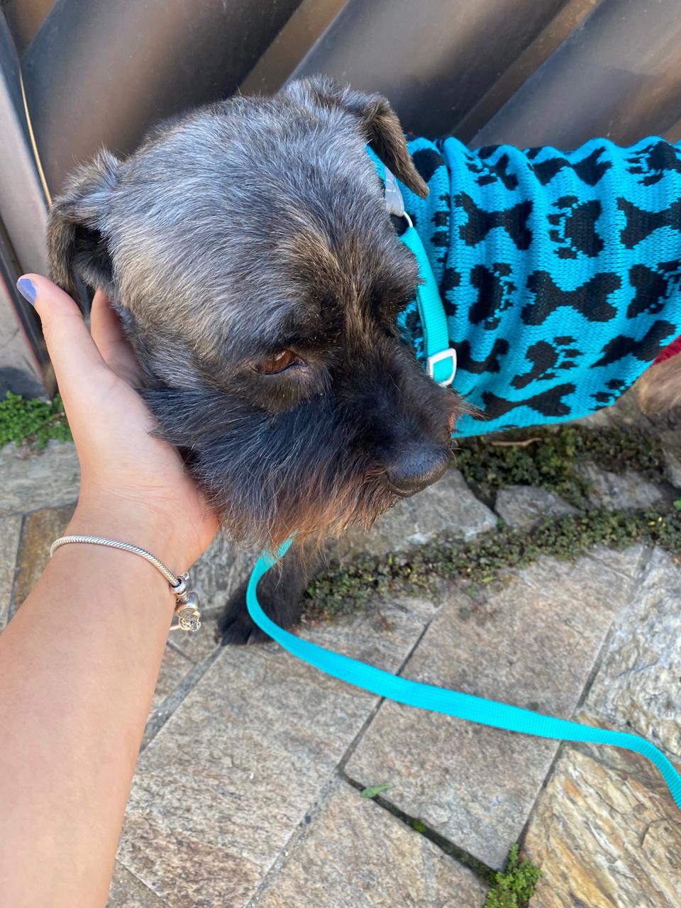 Galeria Gabriela Silva Pinheiro de Godoy