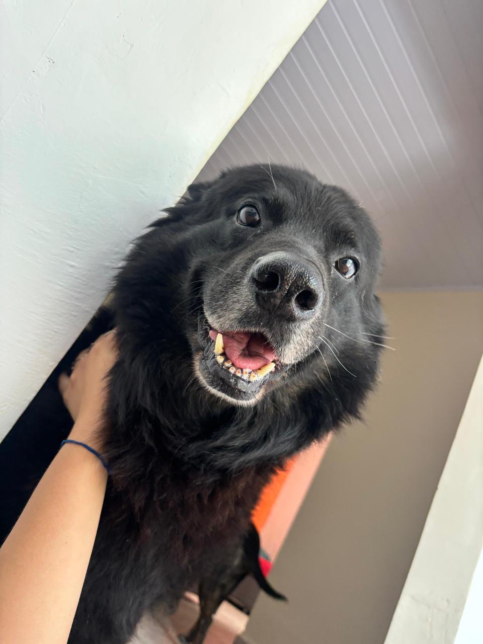 Galeria Gabriela Silva Pinheiro de Godoy