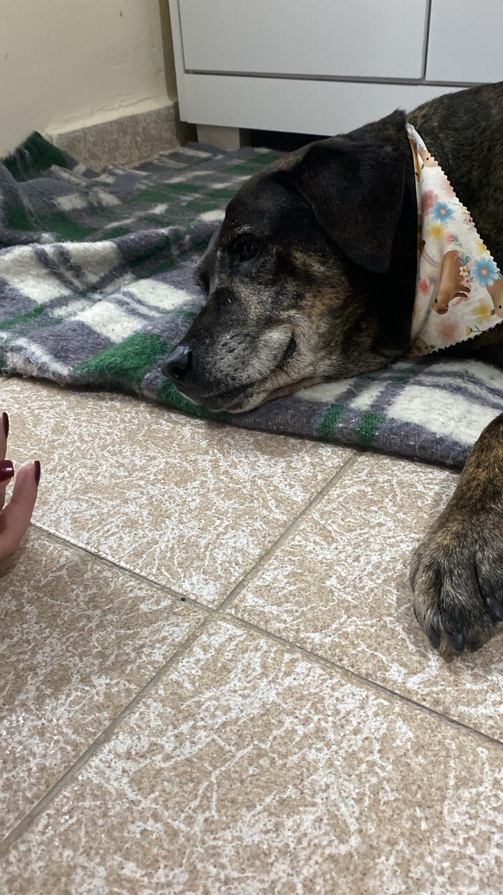 Galeria Gabriela Silva Pinheiro de Godoy