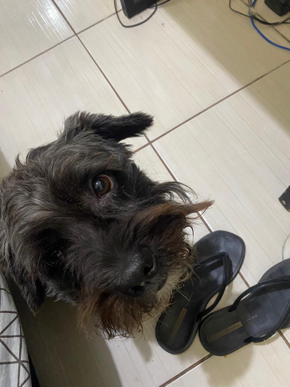 Galeria Gabriela Silva Pinheiro de Godoy