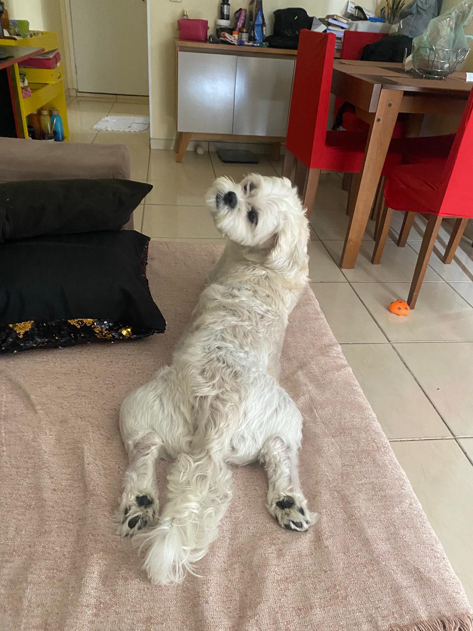 Galeria Gabriela Silva Pinheiro de Godoy