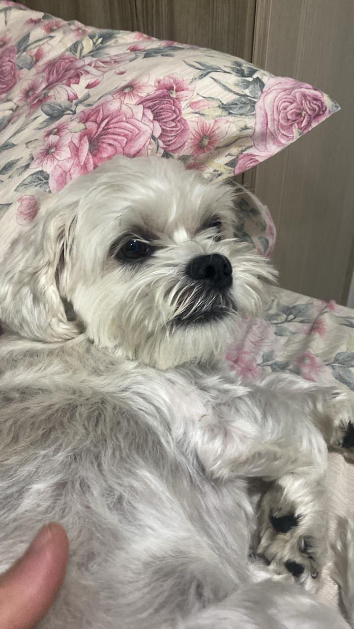 Galeria Gabriela Silva Pinheiro de Godoy