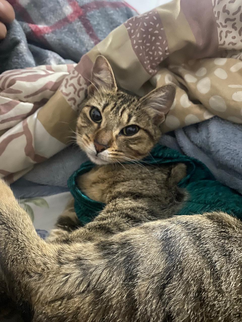 Galeria Gabriela Silva Pinheiro de Godoy