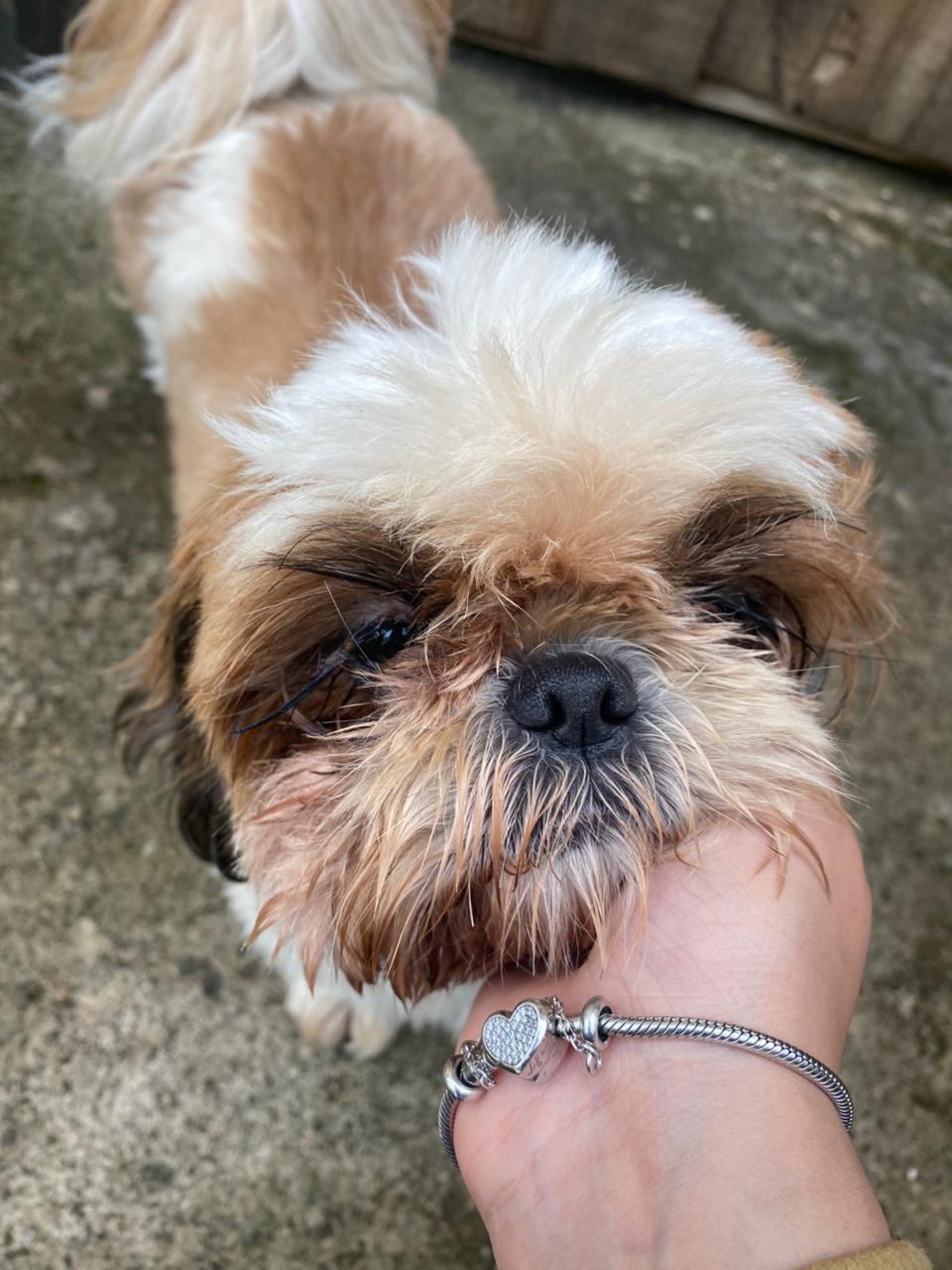 Galeria Gabriela Silva Pinheiro de Godoy