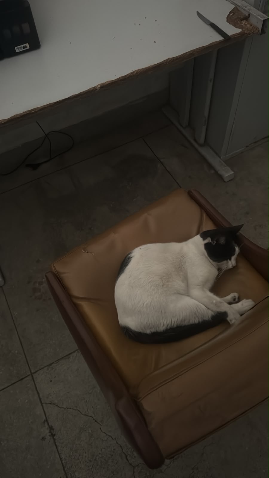 Trabalho de Ana Marins — foto 5