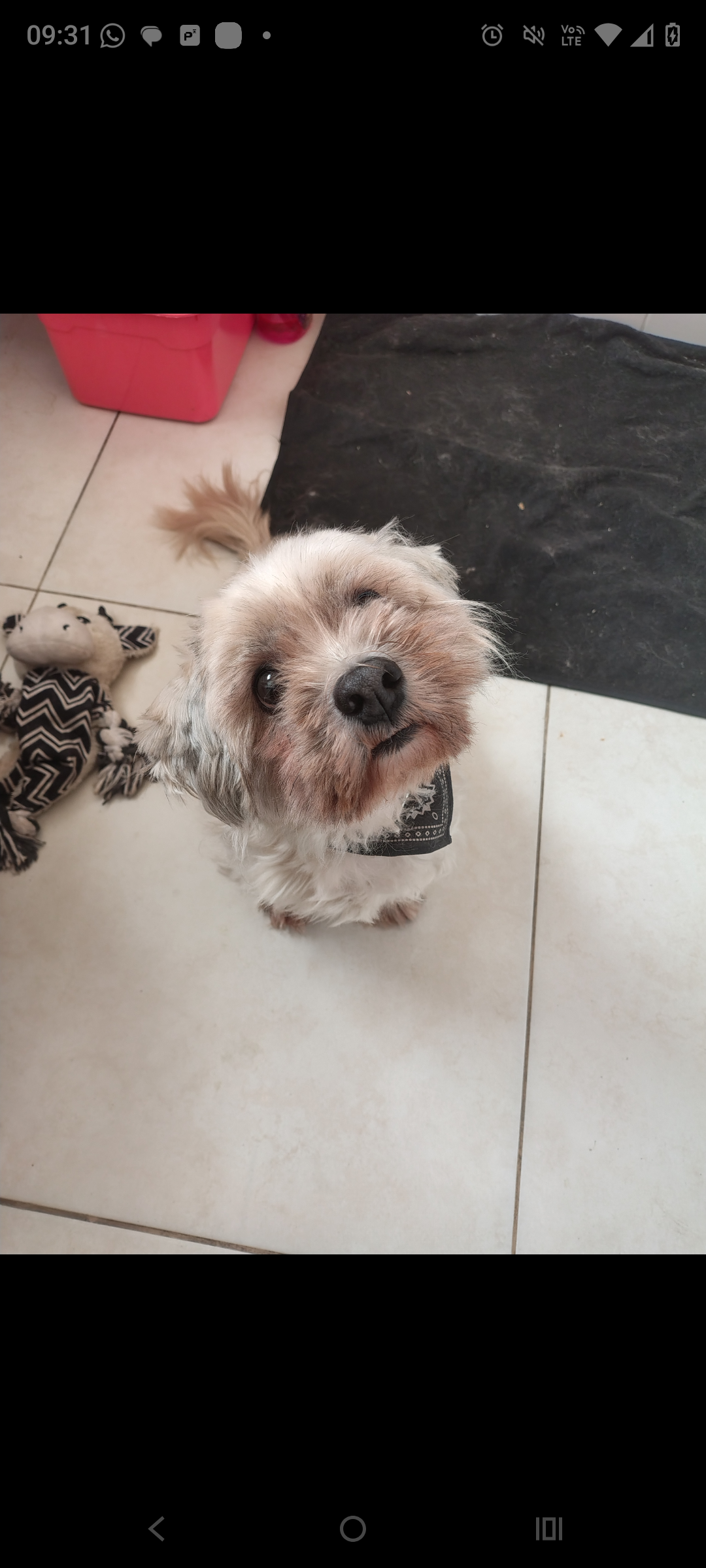 Capa Lorena Gabriela Pereira dos Reis