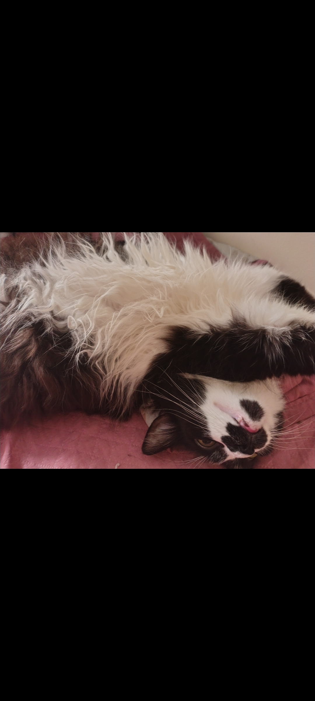 Galeria Lorena Gabriela Pereira dos Reis