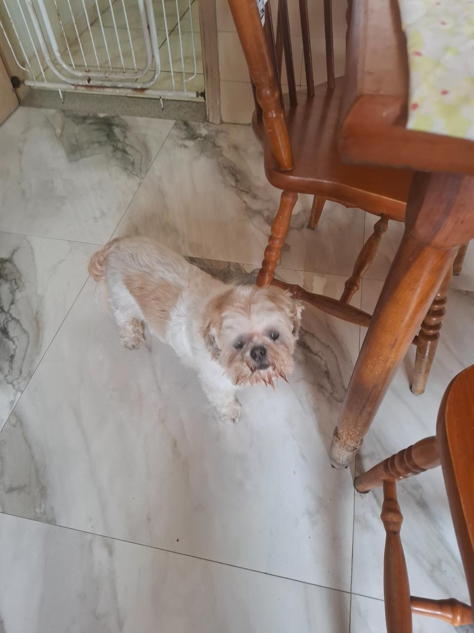 Trabalho de SANDRA MARIA — foto 2