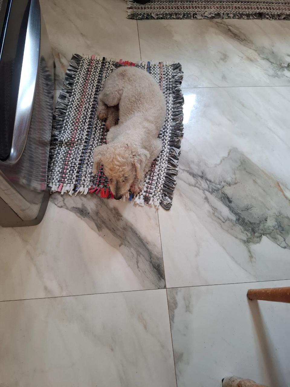 Trabalho de SANDRA MARIA — foto 5