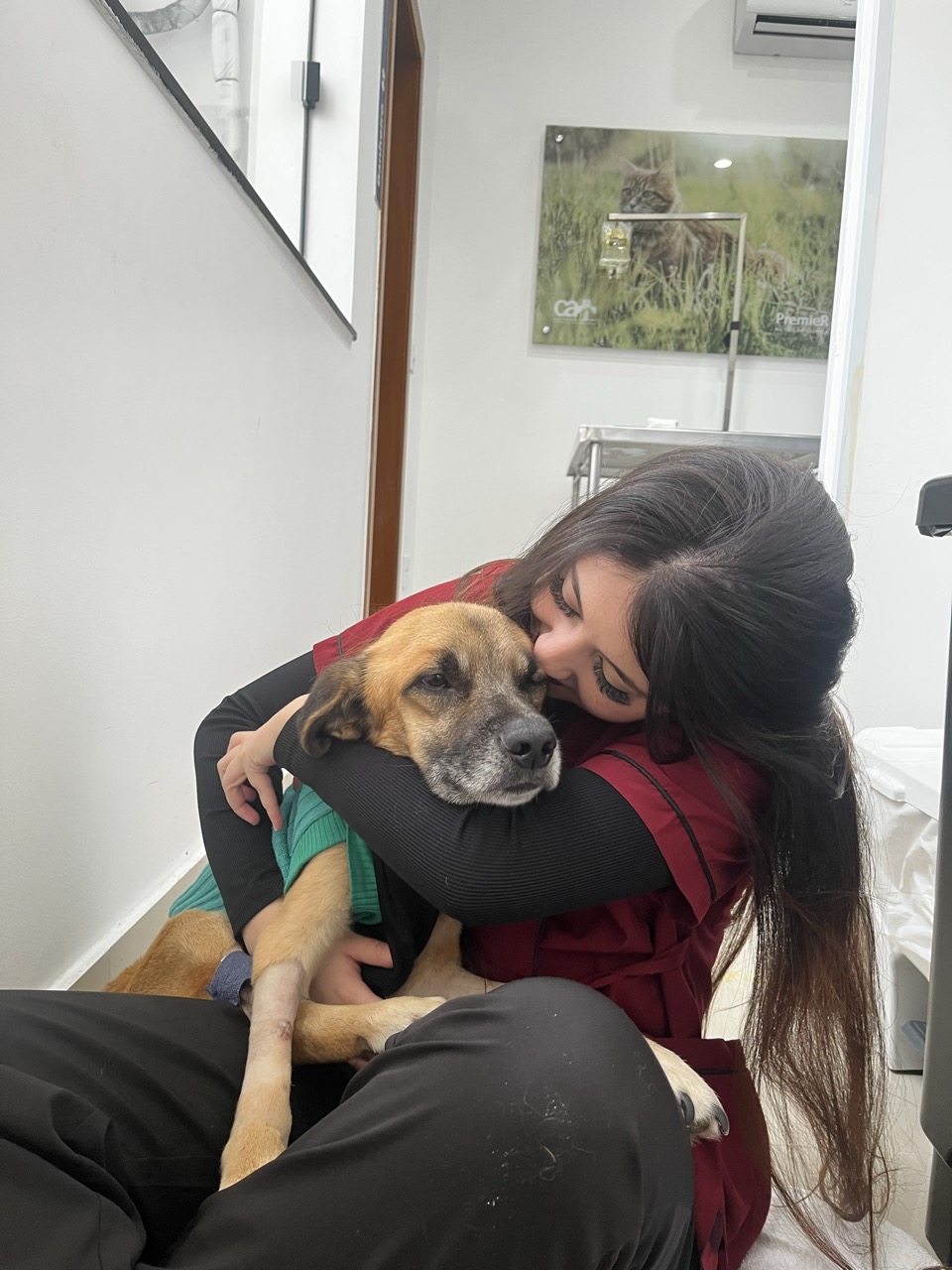 Trabalho de Yasmim Ferreira — foto 2