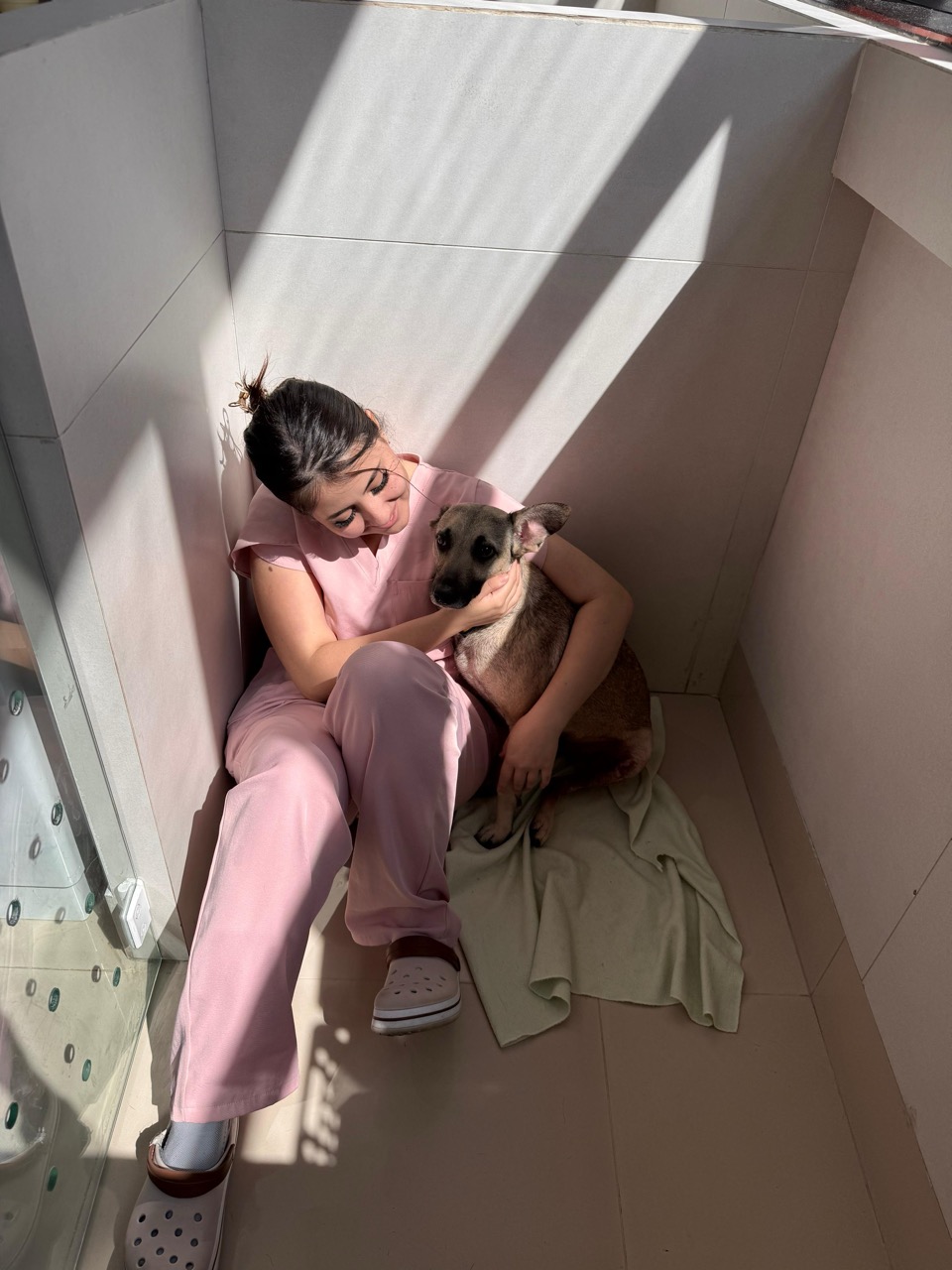 Trabalho de Yasmim Ferreira — foto 5