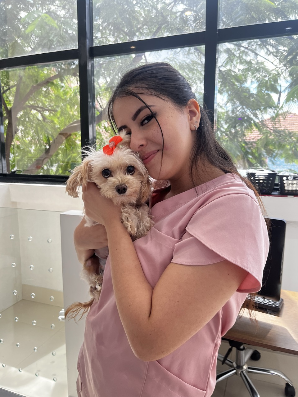Trabalho de Yasmim Ferreira — foto 6