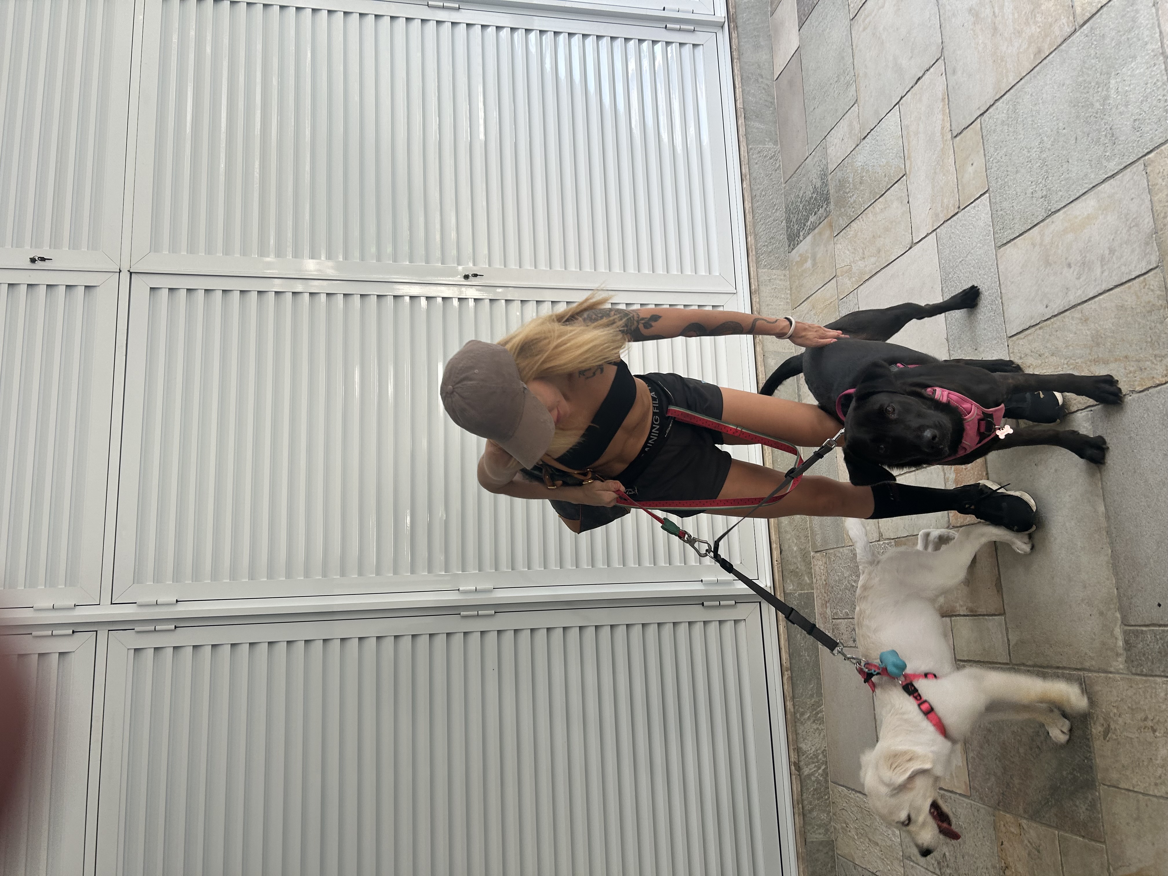 Galeria Ingrid Assagra ribeiro