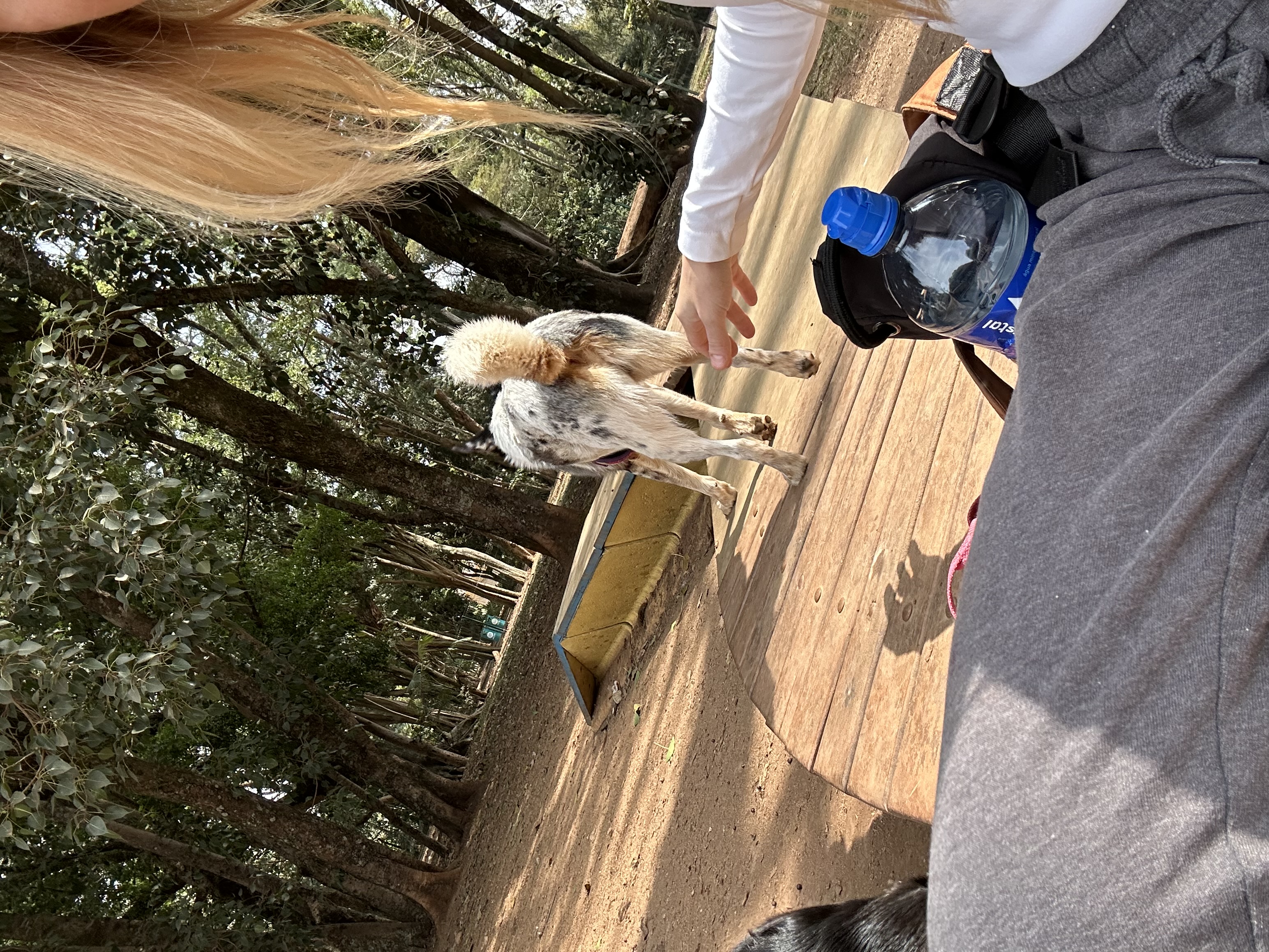 Galeria Ingrid Assagra ribeiro