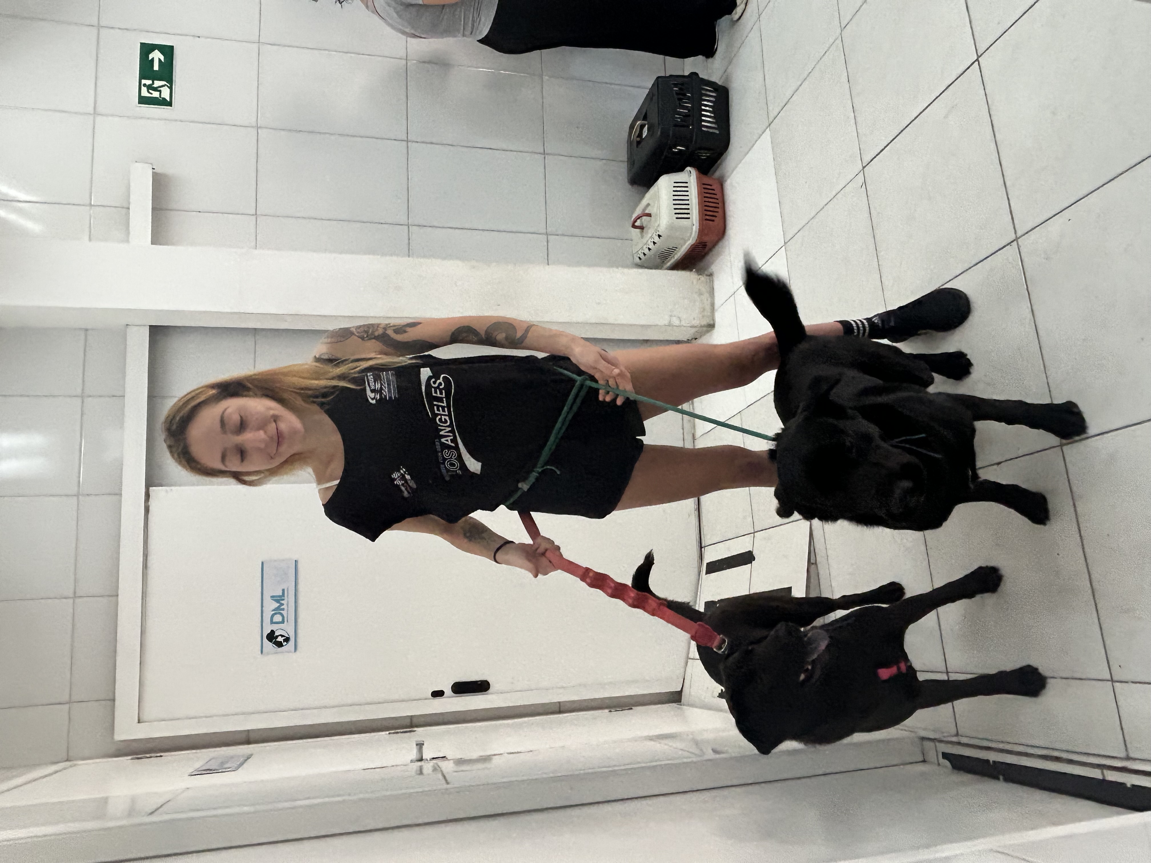 Galeria Ingrid Assagra ribeiro