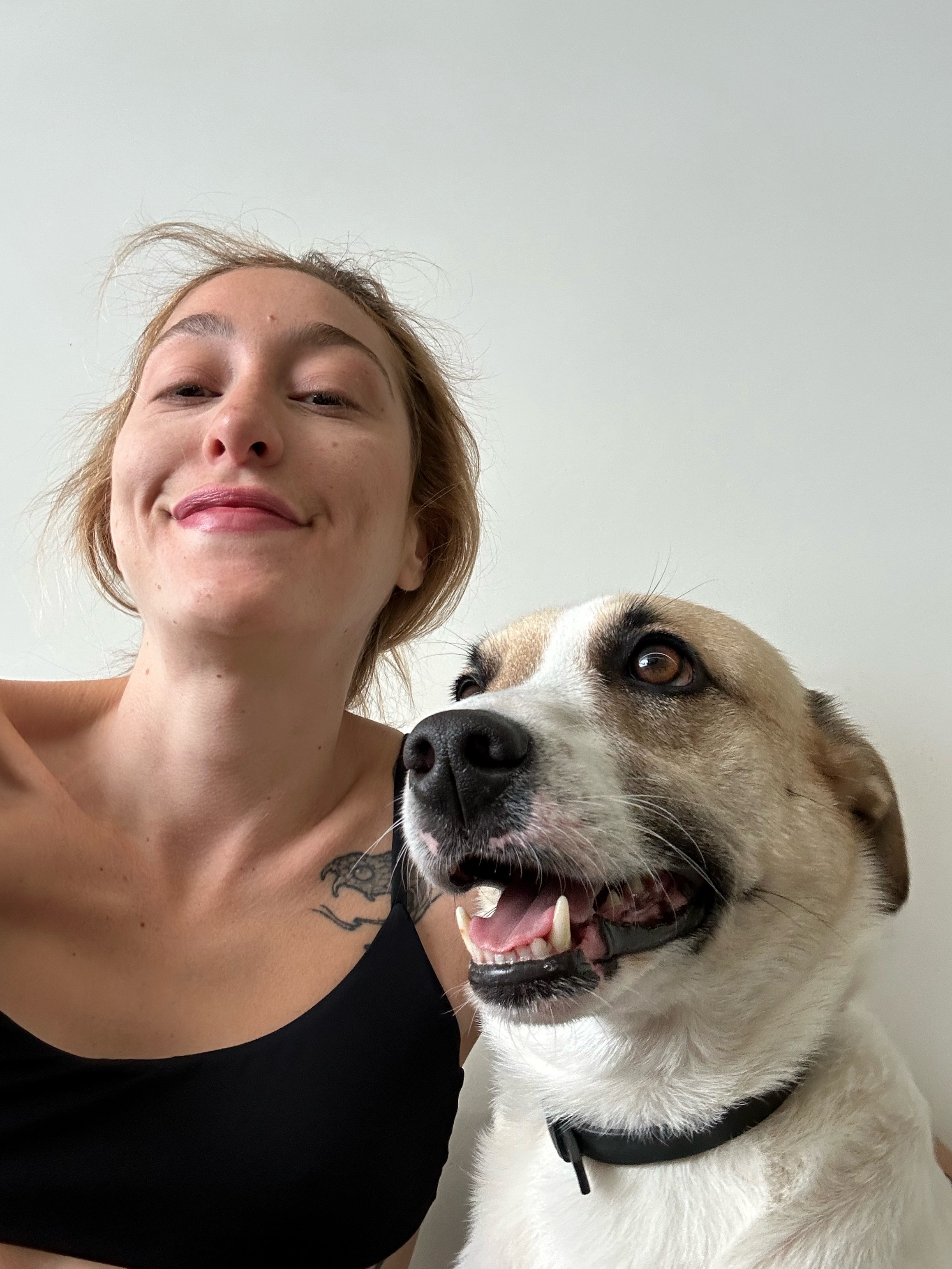 Galeria Ingrid Assagra ribeiro