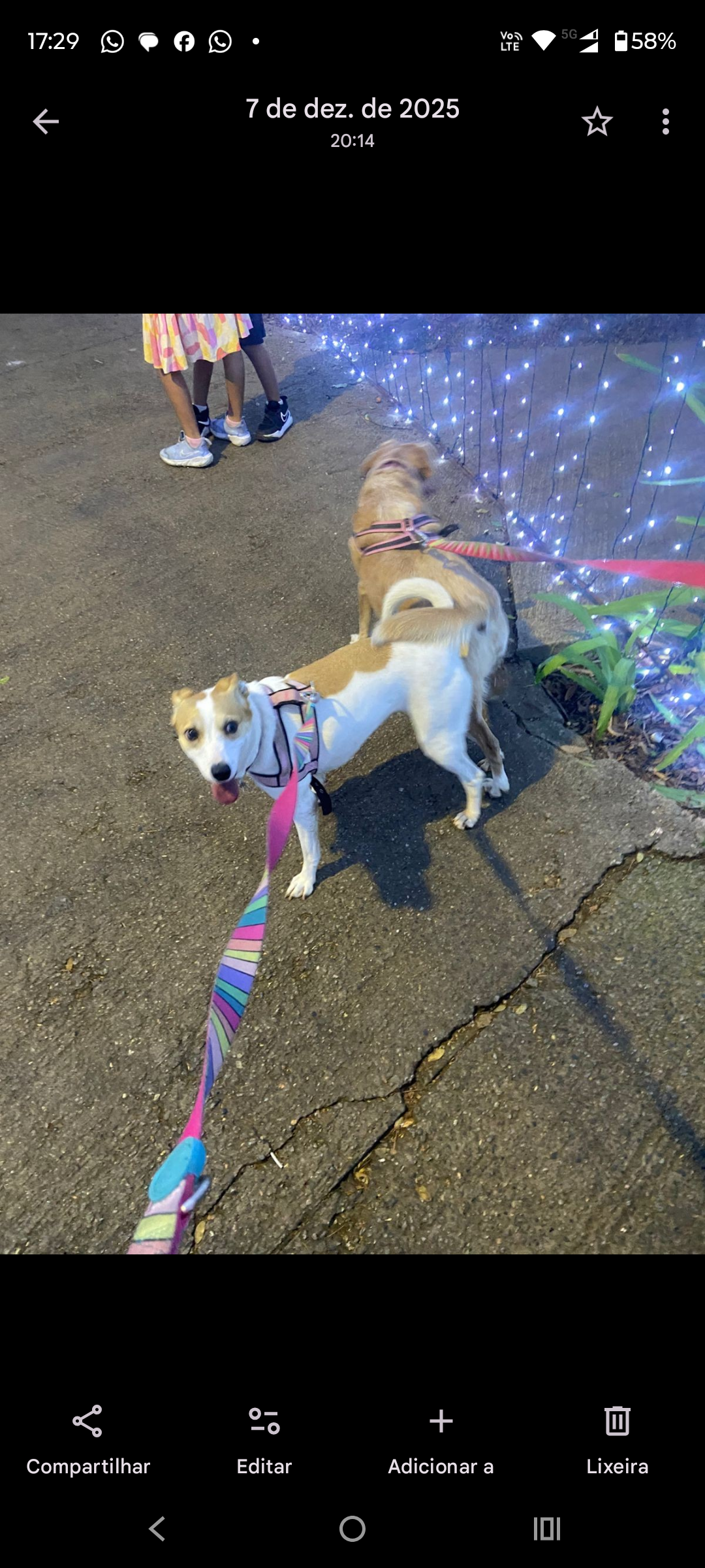 Capa Larissa de Oliveira Carvalho