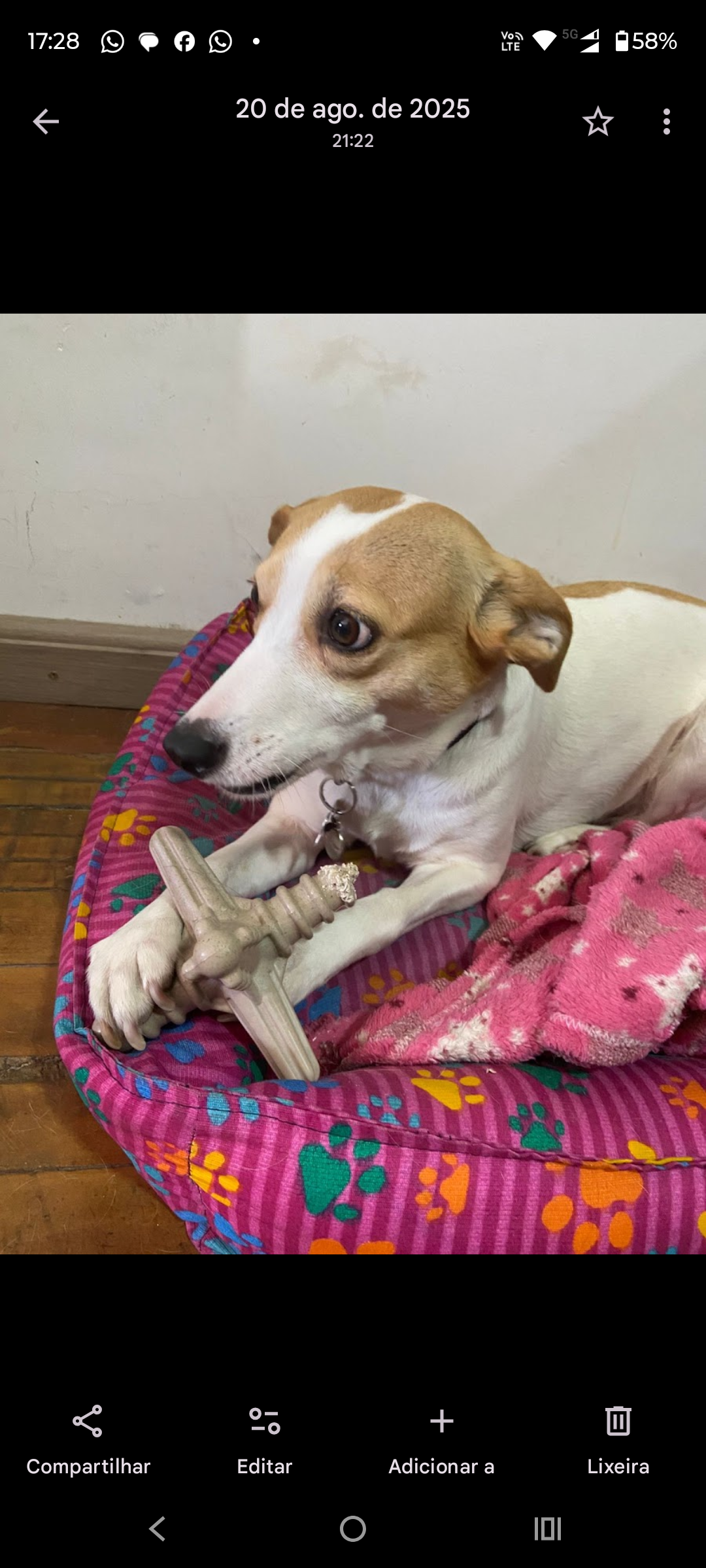 Galeria Larissa de Oliveira Carvalho