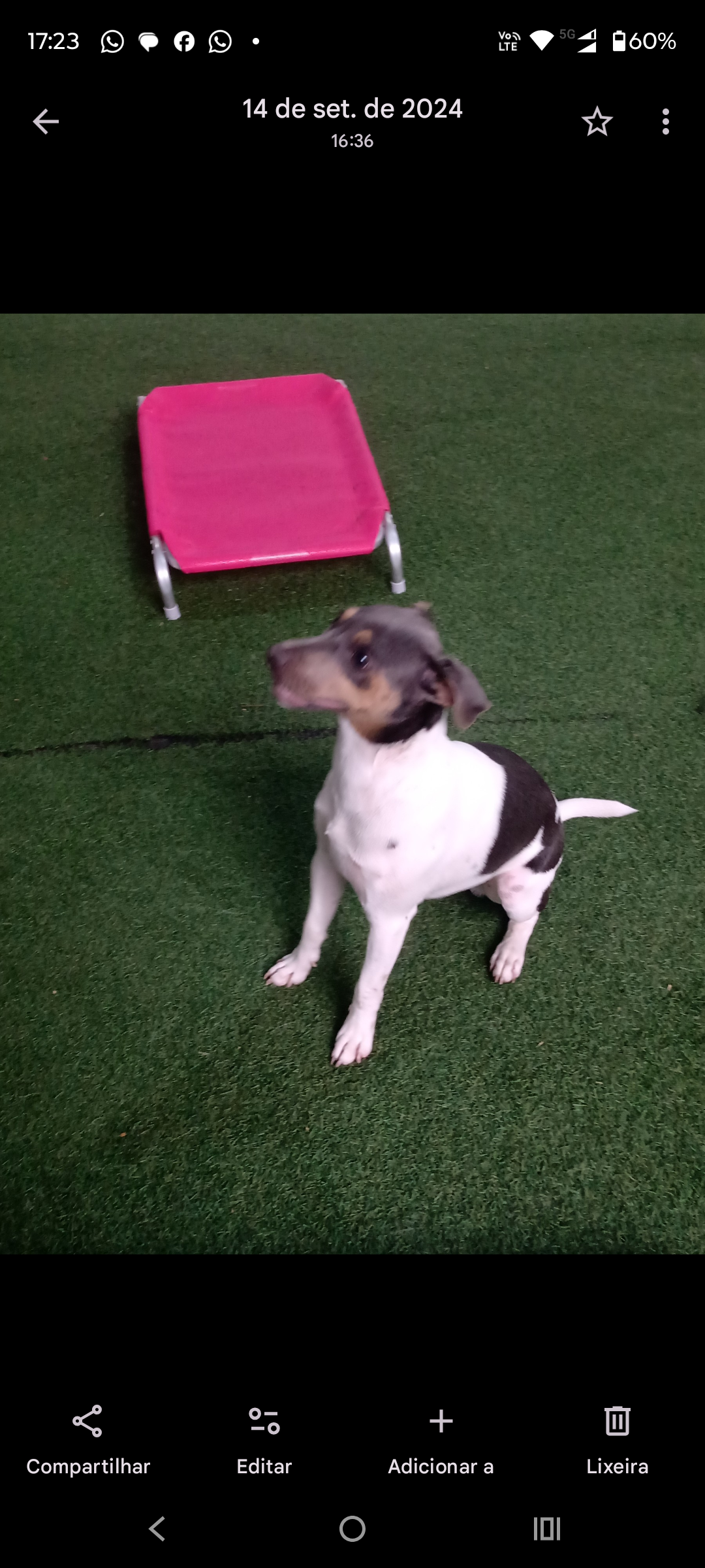 Galeria Larissa de Oliveira Carvalho