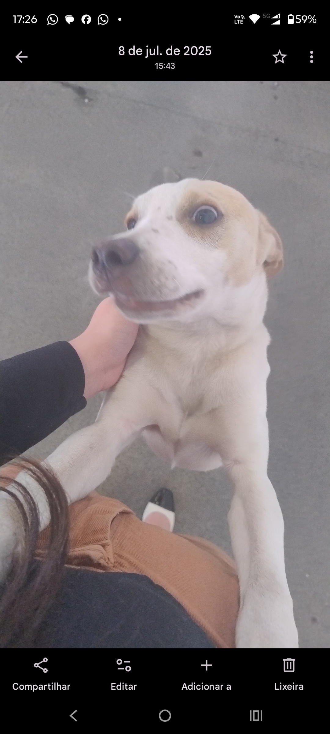 Galeria Larissa de Oliveira Carvalho