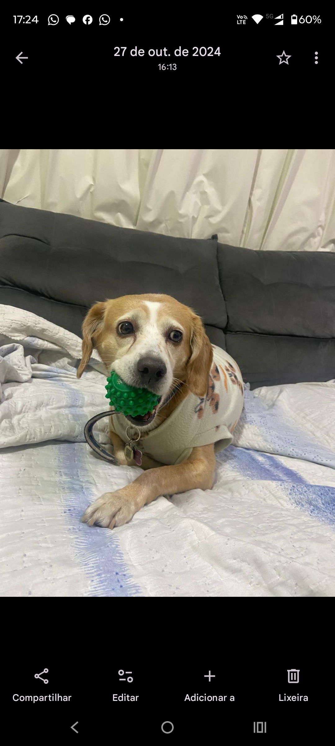 Galeria Larissa de Oliveira Carvalho