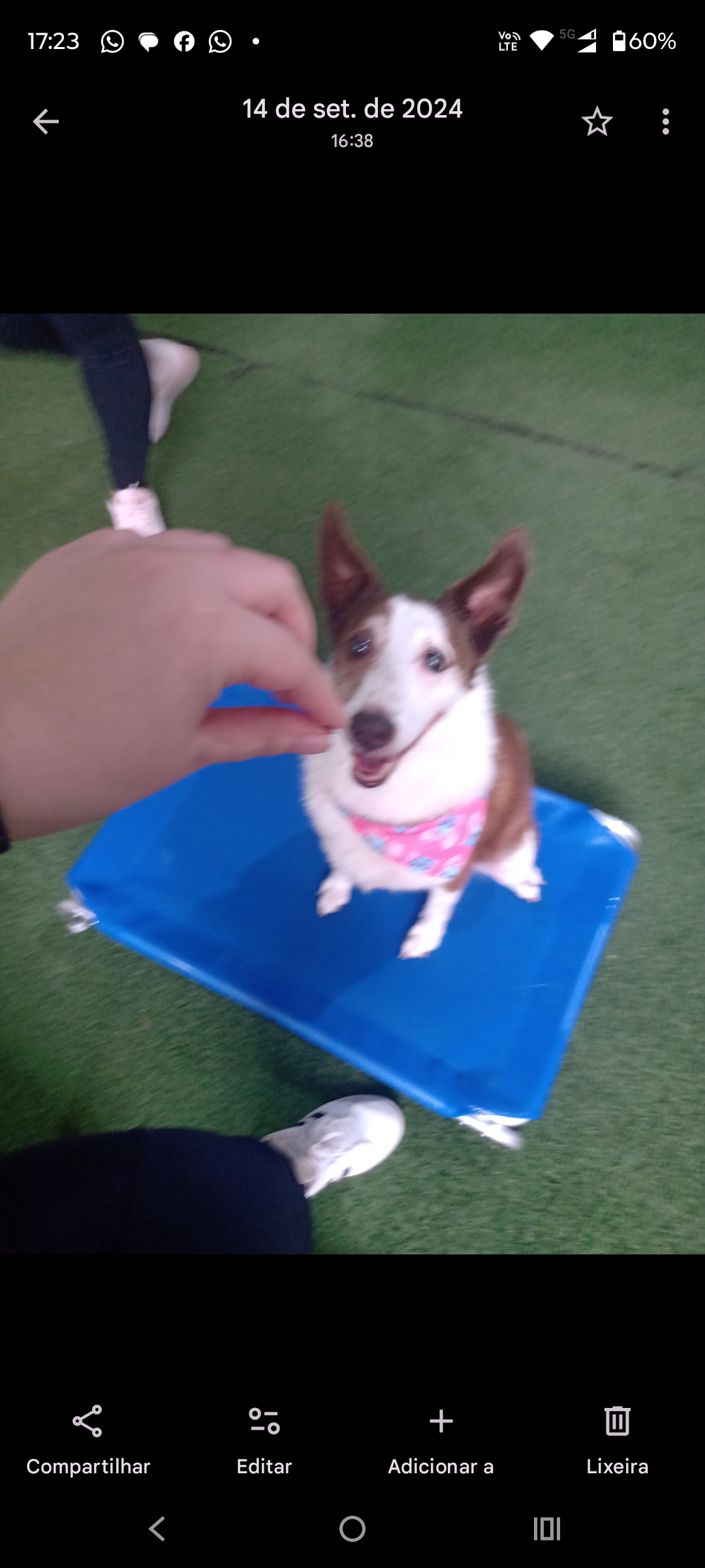 Galeria Larissa de Oliveira Carvalho