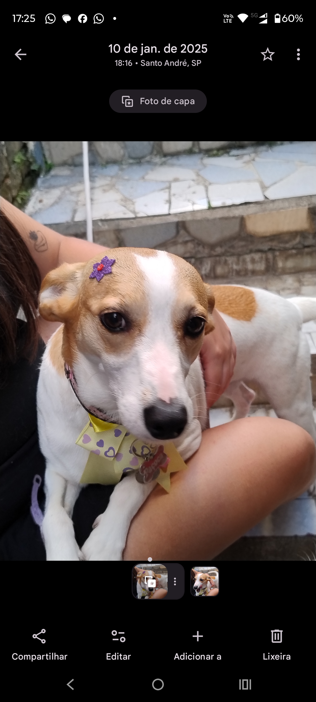 Galeria Larissa de Oliveira Carvalho