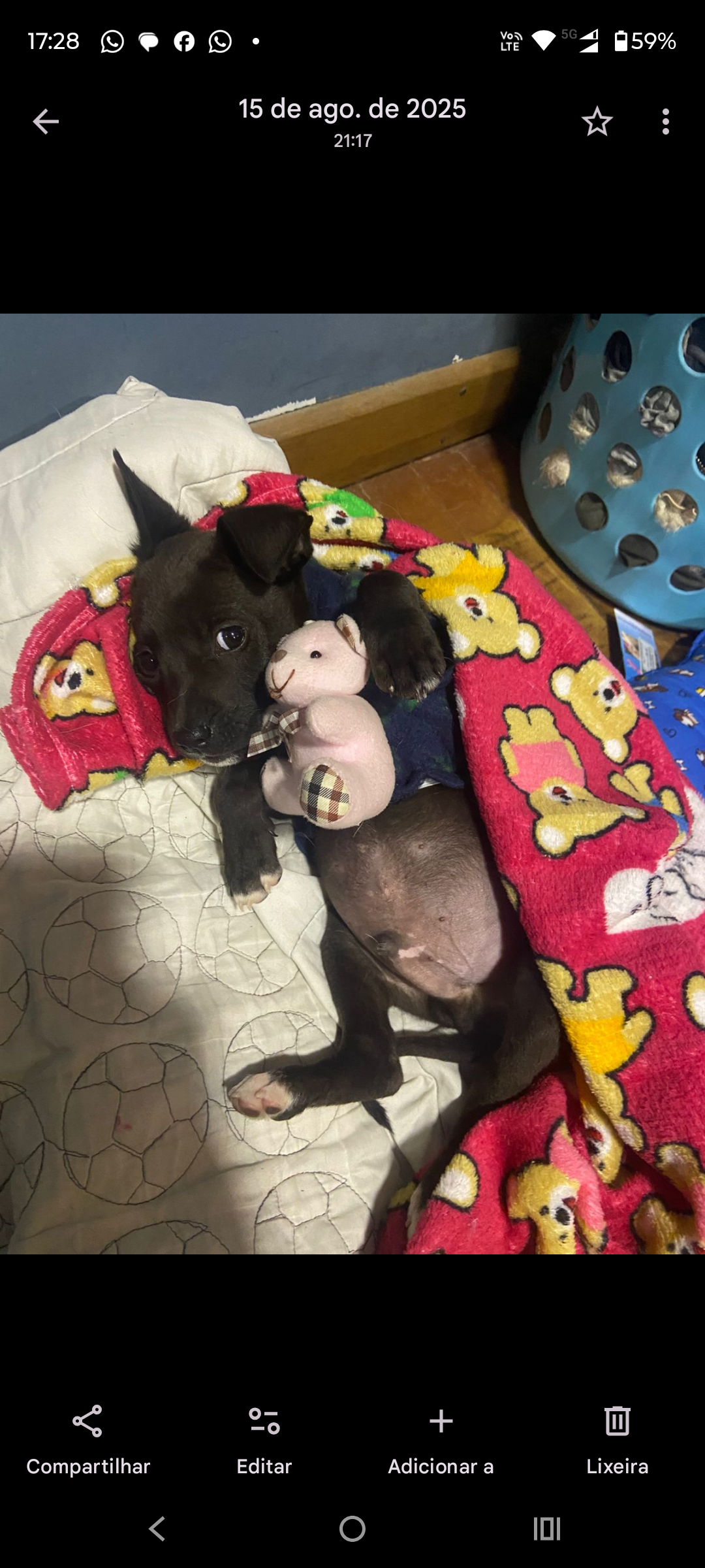 Galeria Larissa de Oliveira Carvalho