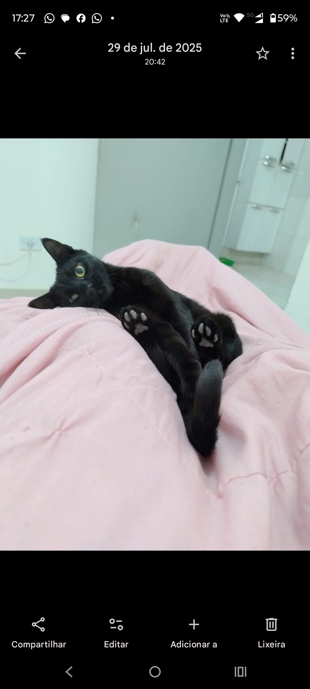 Galeria Larissa de Oliveira Carvalho