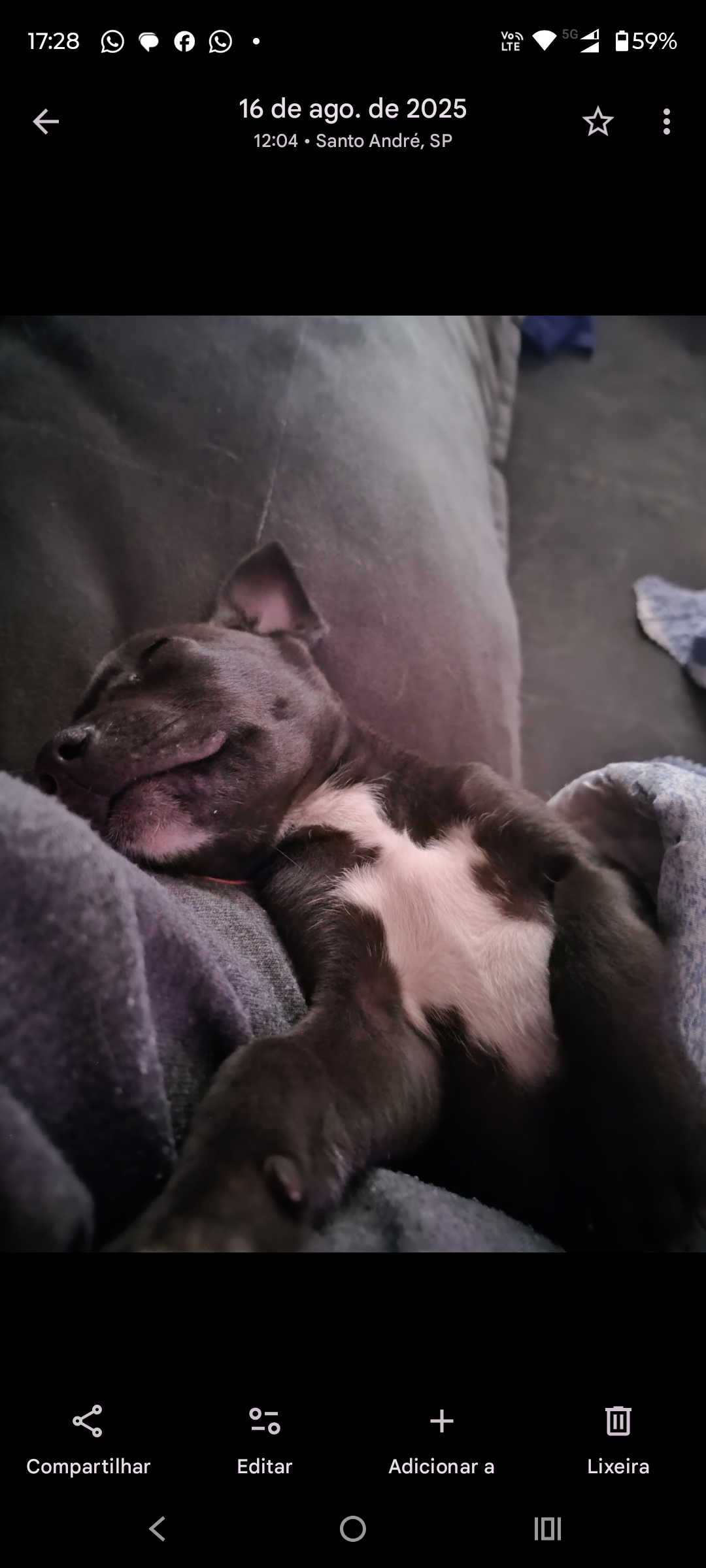 Galeria Larissa de Oliveira Carvalho