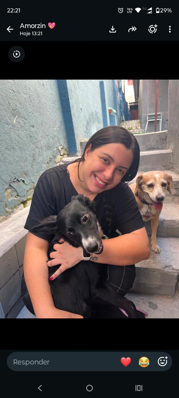 Trabalho de Tia Lari — foto 12