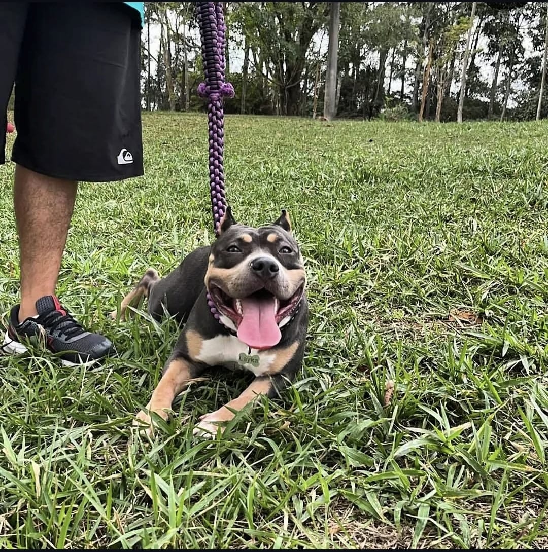 Galeria Gerson Santos