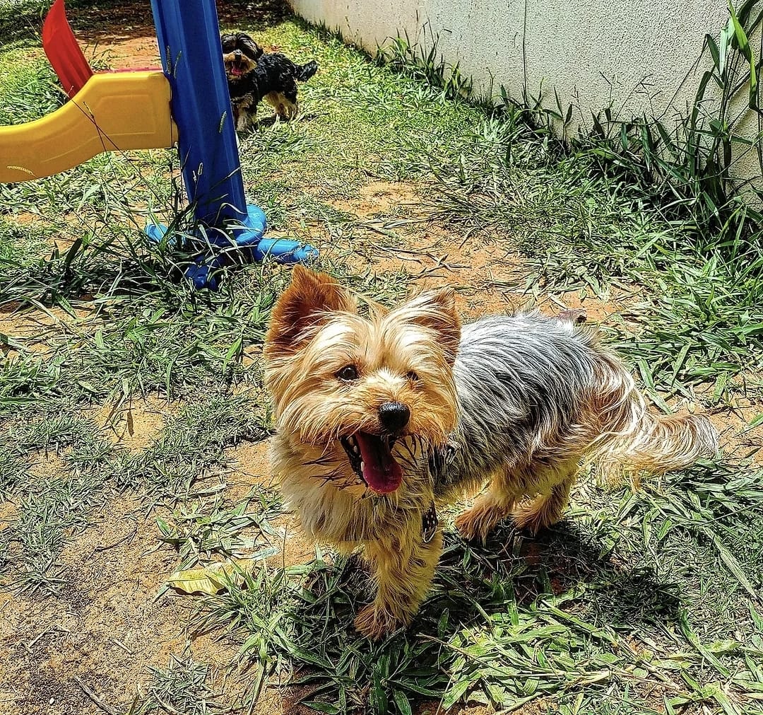 Galeria Gerson Santos