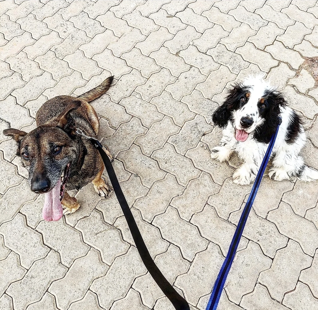 Galeria Gerson Santos