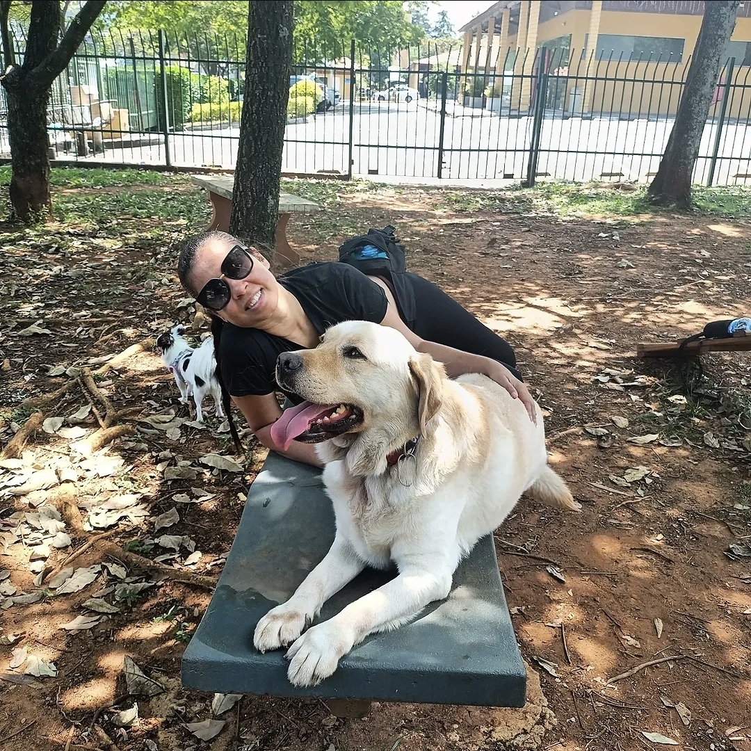 Galeria Gerson Santos