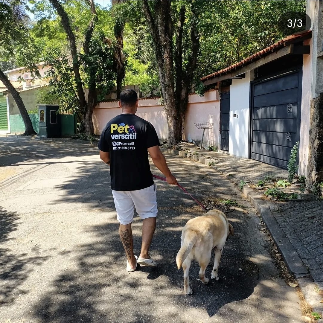 Galeria Gerson Santos