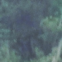 Jailson  lomes de Oliveira 