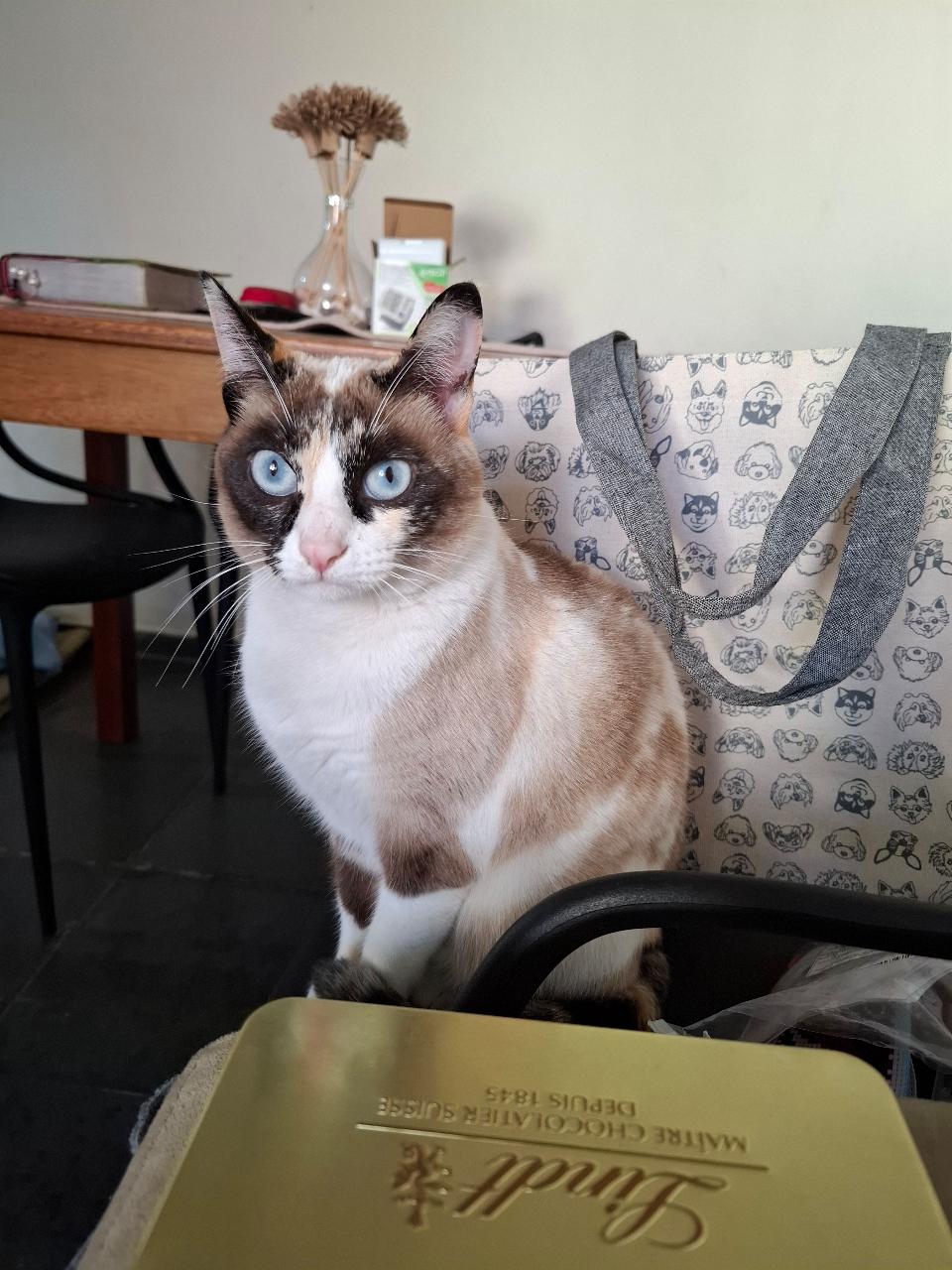 Trabalho de Milena Ruzza — foto 1