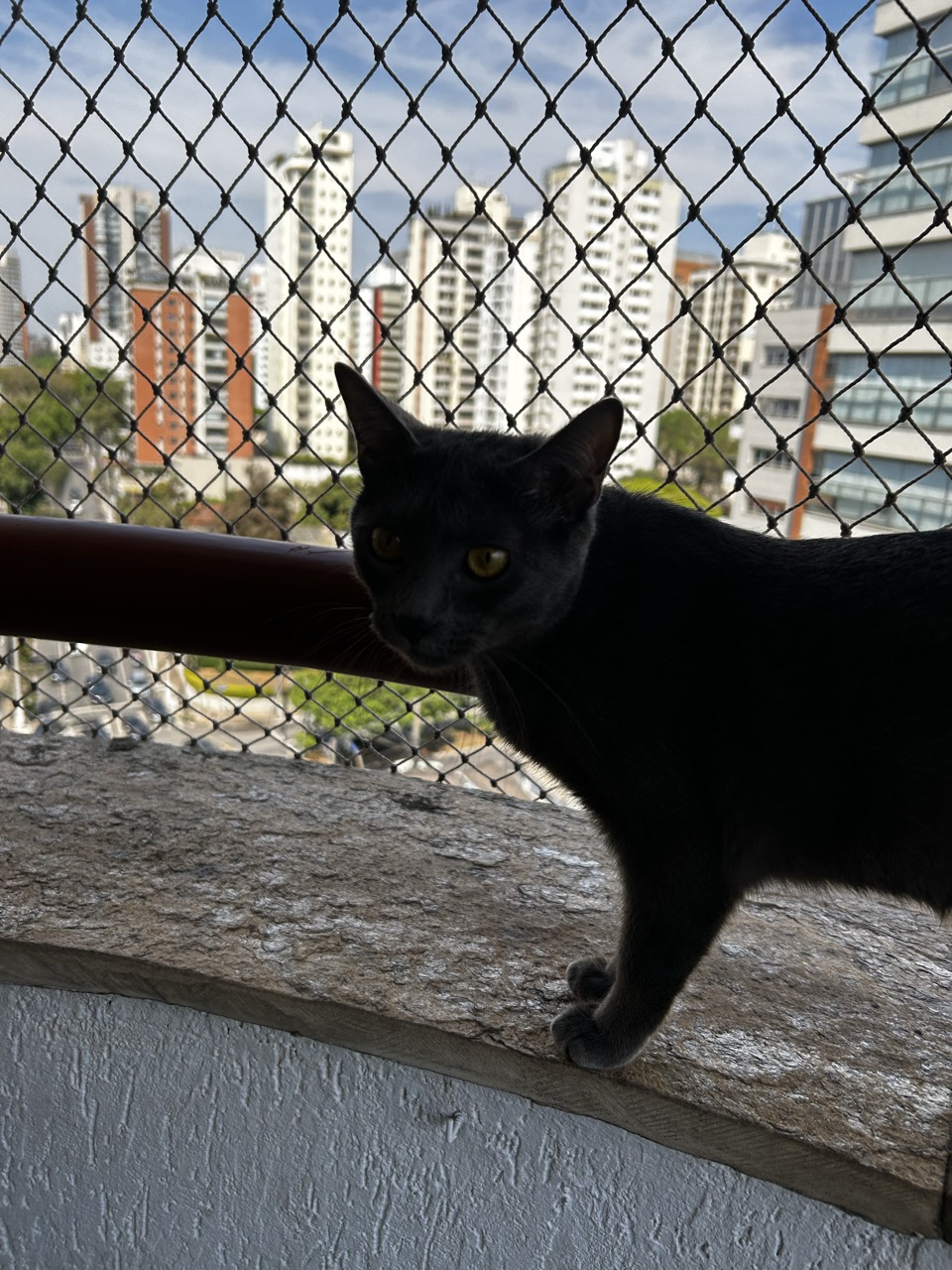 Trabalho de Giovana da — foto 10
