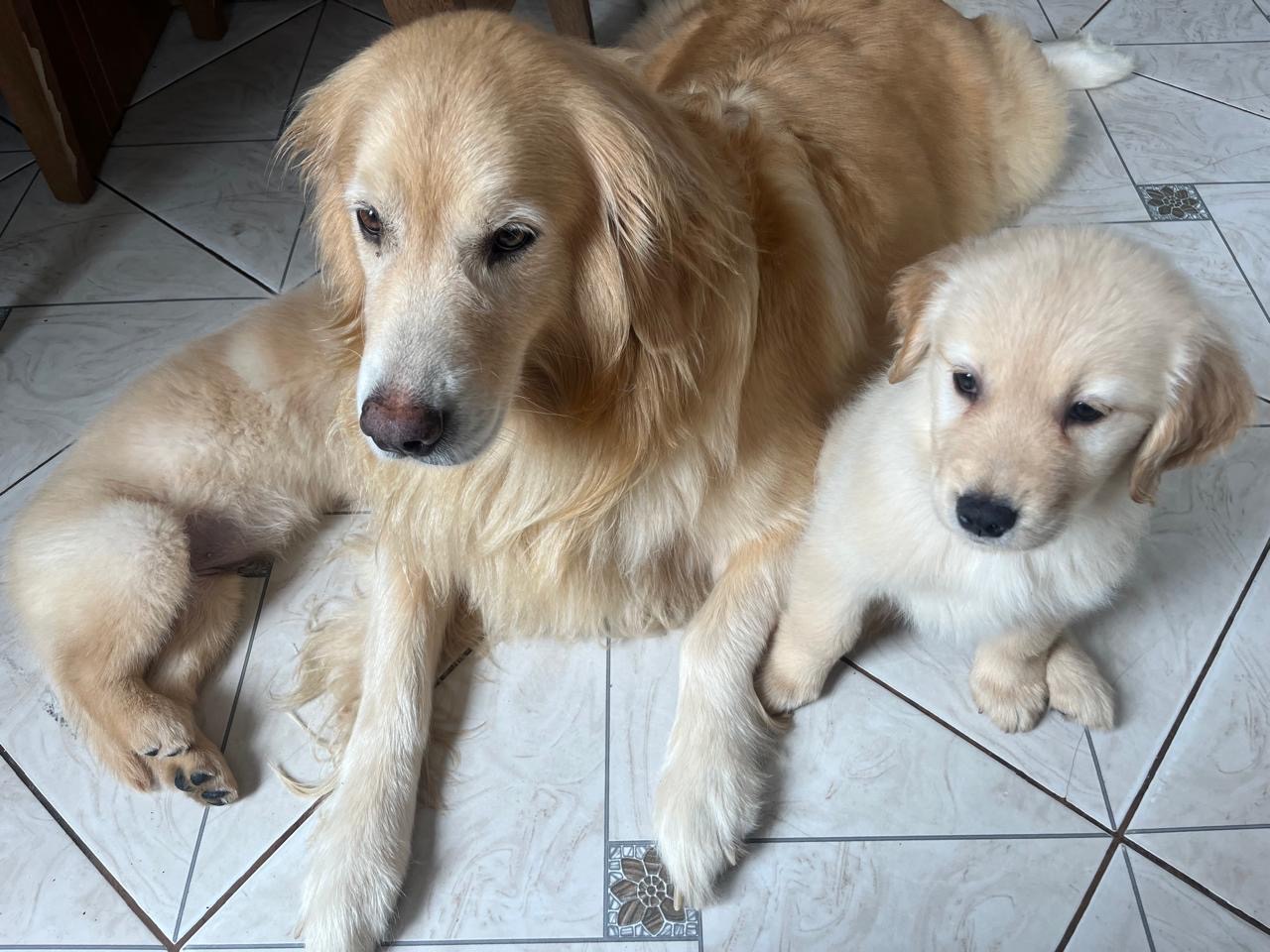 Trabalho de Giovana da — foto 1