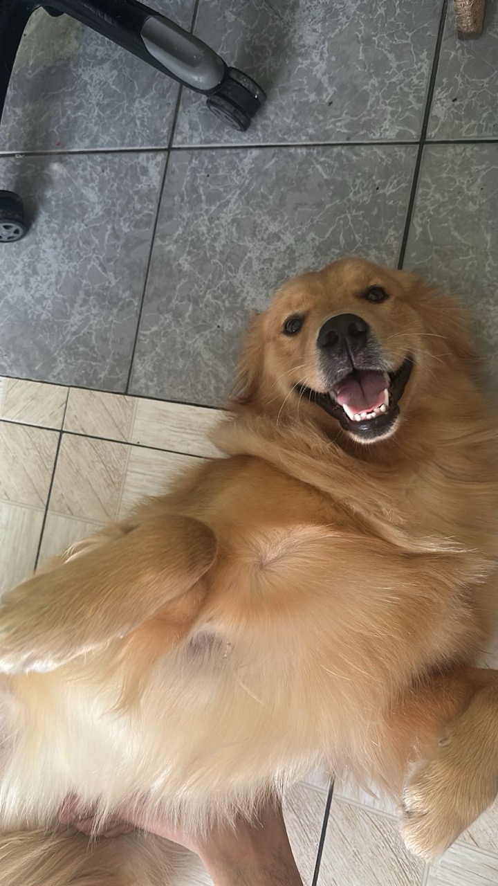 Trabalho de Giovana da — foto 2